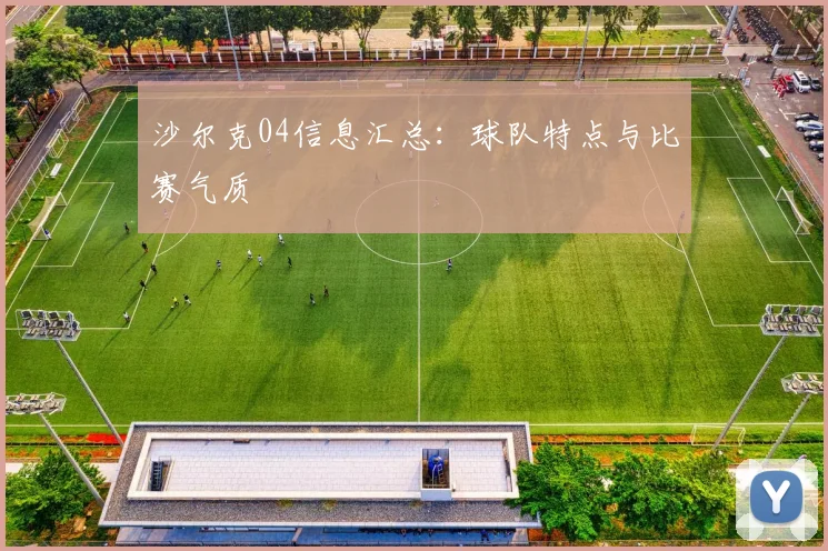 沙尔克04信息汇总:球队特点与比赛气质