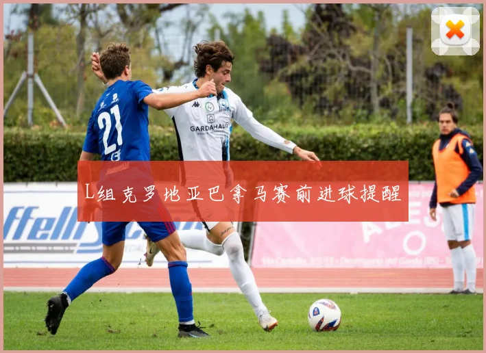 L组克罗地亚巴拿马赛前进球提醒